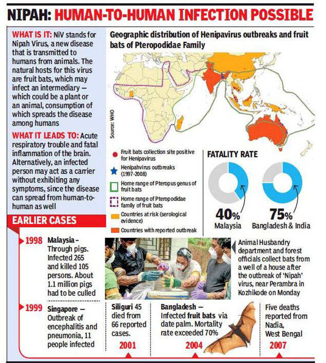 Kerala nurse taking care of Nipah patients dies; death toll rises to 10