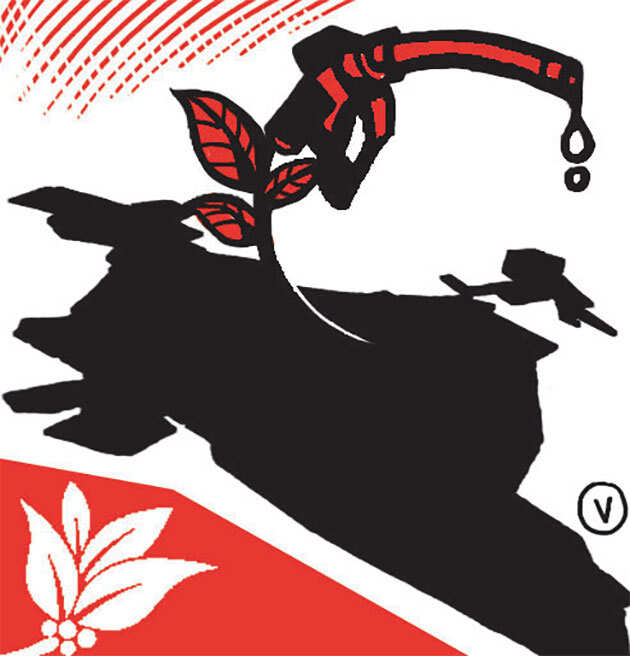 OPINION: Biofuels part of low carbon transition