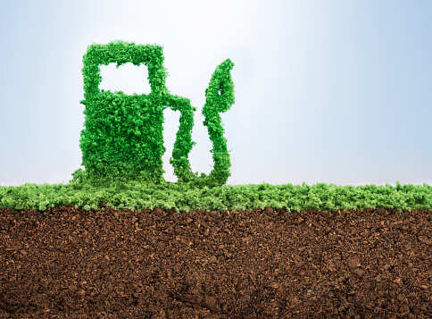 OPINION: Grasping at straws - Pathetic state of biofuels in India
