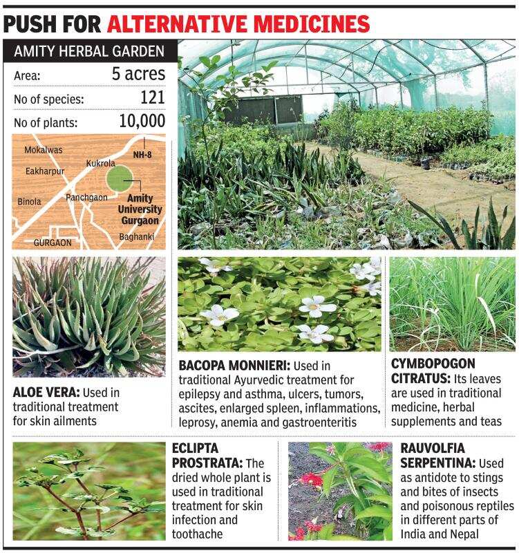 Herbal park opens in Gurugram, to give farmers tips on medicinal plants
