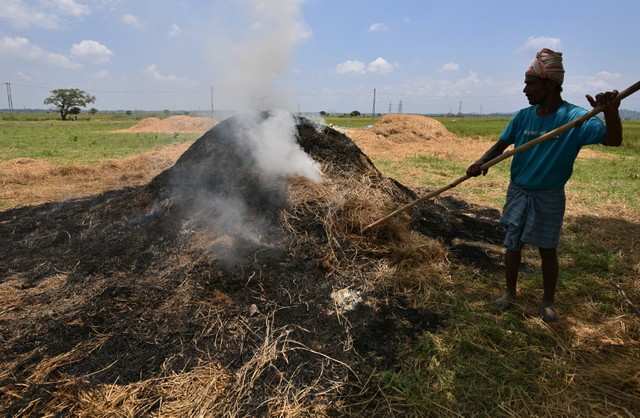 stubble burning: Stubble burning: Punjab to manufacture Bio-CNG from paddy  straw, Energy News, ET EnergyWorld