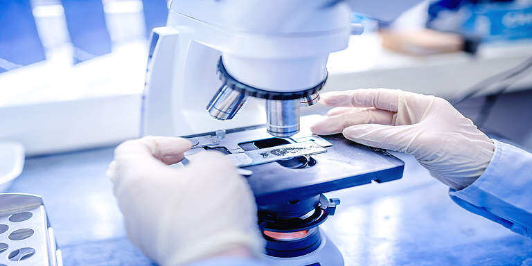 Standard myelofibrosis drug can awaken 'dormant' lymphoma : Study