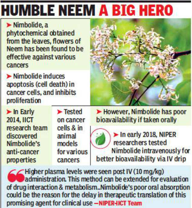 Hyderabad scientists claim how to use Neem to cure cancer