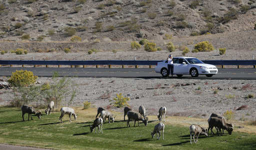 Companies coming with customised packages for self-driving holidays