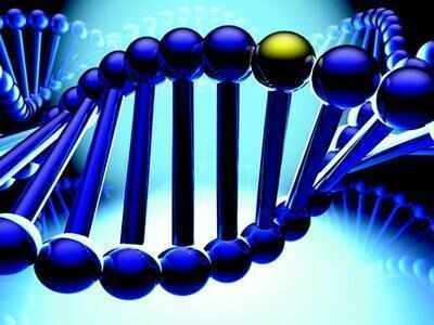 New antiviral gene may stop virus clone