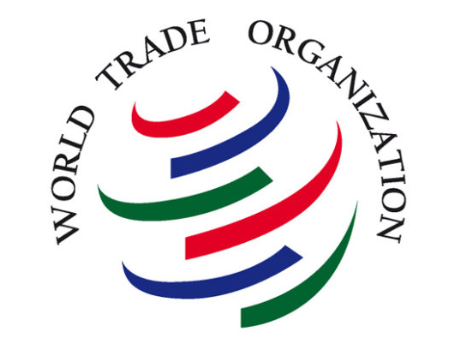 Image result for wto