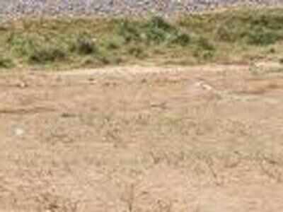 Draft ready, but passage of Maharashtra's land titling bill gets delayed