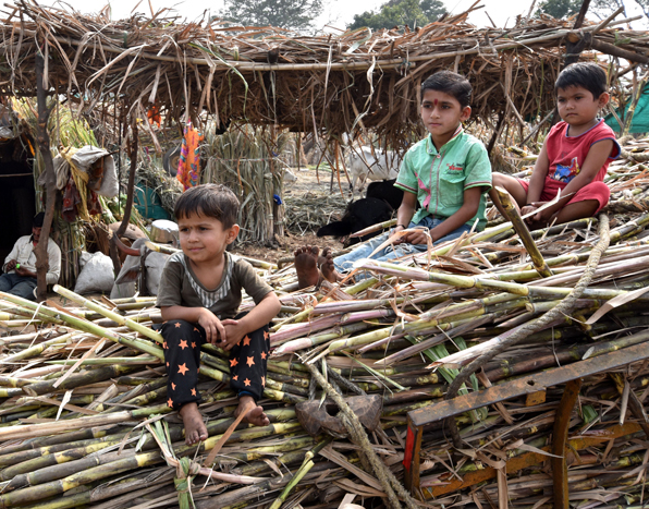 Government notifies ethanol-making directly from sugarcane juice, B-molasses