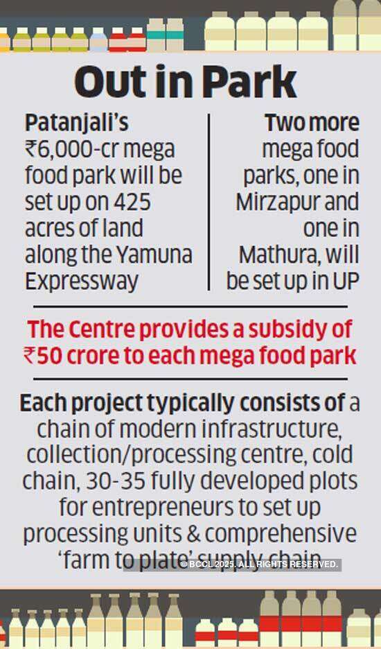 Last-minute rush to get clearance for Patanjali park