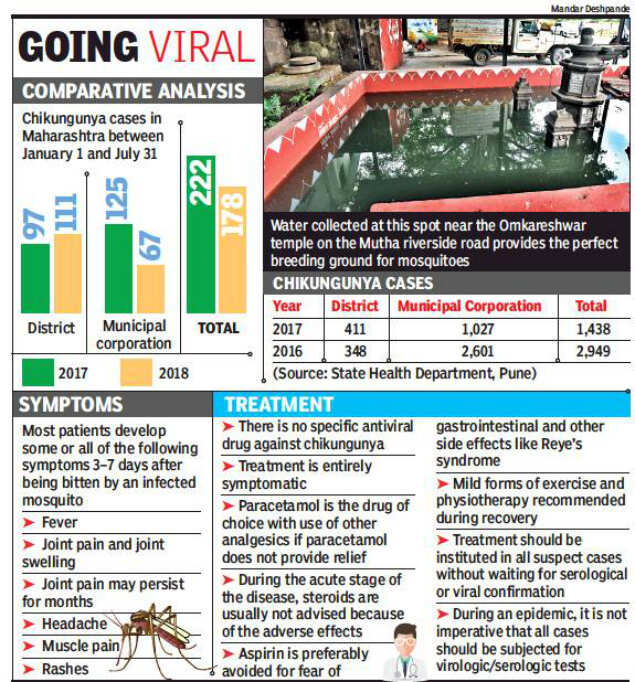 Most of 178 chikungunya cases reported from Pune