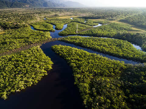 Climate change: Brazil cuts deforestation emissions below 2020 targets
