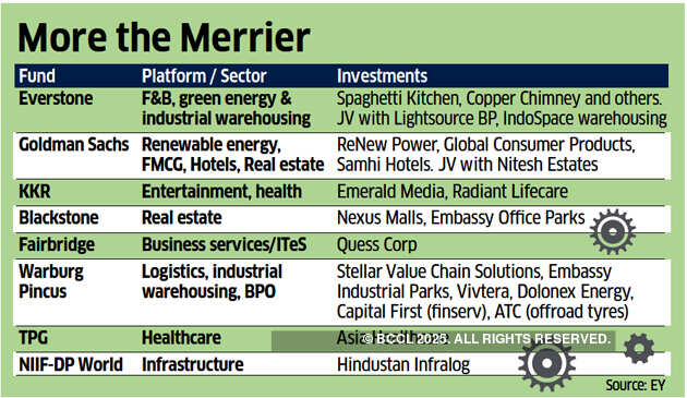 Private equity funds are looking to team up with professionals to create new disruptors