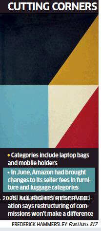 Flipkart cuts commission on low-priced categories
