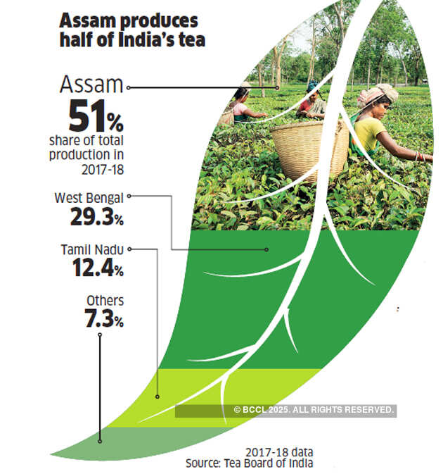 India's tea industry is struggling to move up the value chain