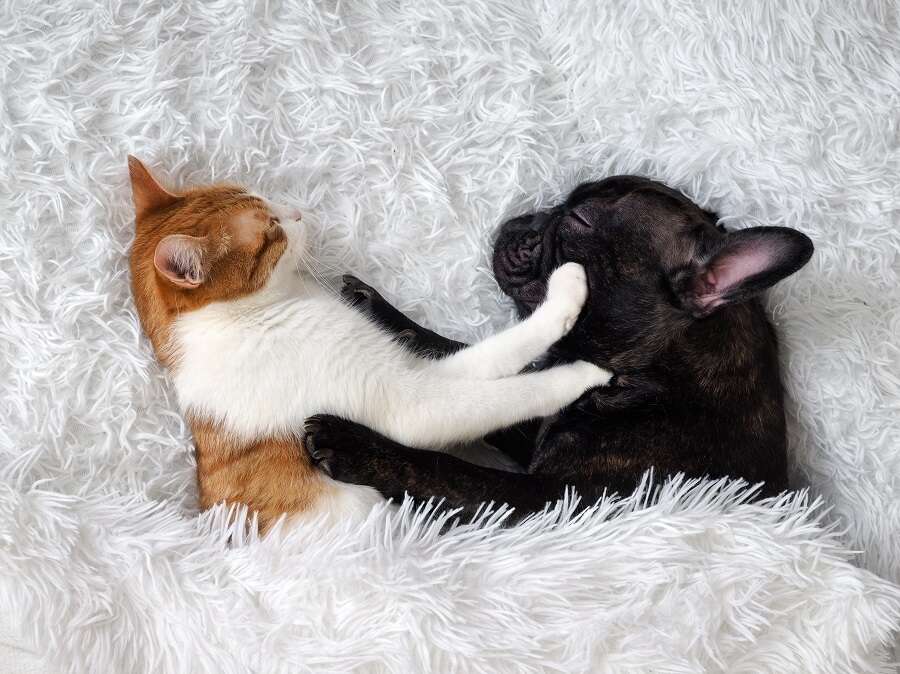 Sleeping with the frenemy