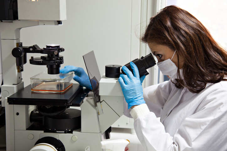 U.S.-listed Chinese biotech Zai Lab plans Hong Kong float -sources