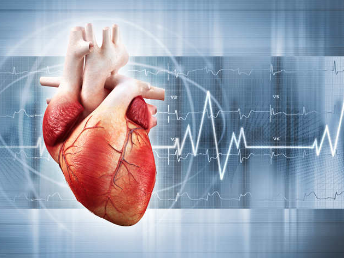 Microvascular dysfunction -  a common cause of heart failure with preserved pumping capacity : Study