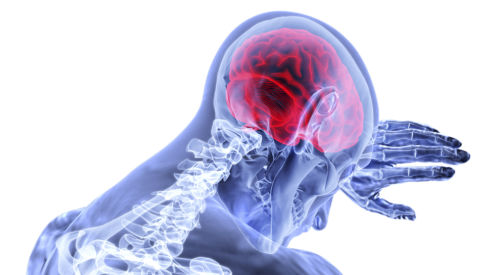 New brain network linked to pain in Parkinson's disease