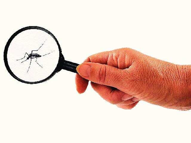 2 die, 1588 people test positive for dengue in HP