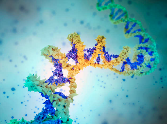 Now a personalized cancer vaccine approach to treat Lynch Syndrome