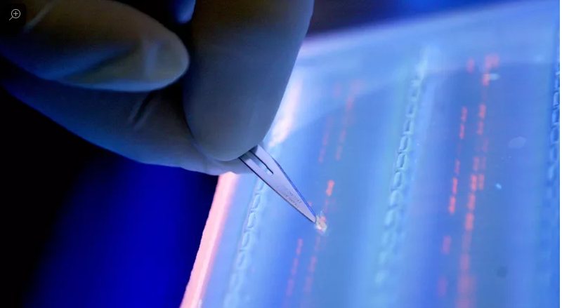 U.S. appeals court upholds MIT, Harvard patents on CRISPR gene editing
