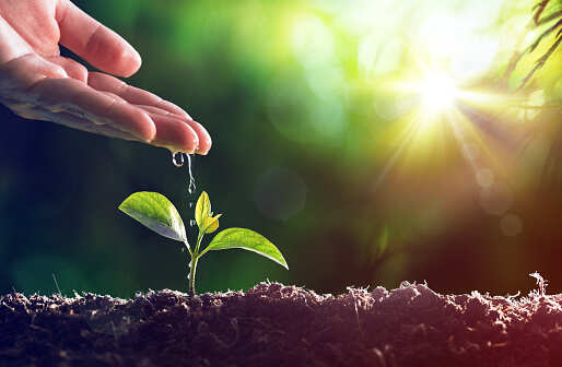 Government steps in to arrange funds for green projects