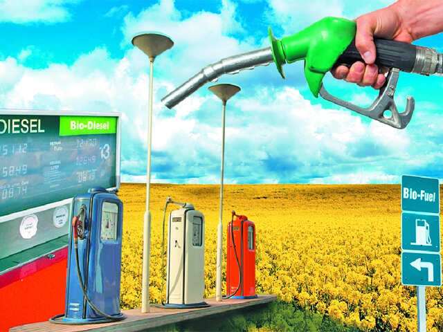 12 years on, Rajasthan hopes to fill gap in biofuel policy