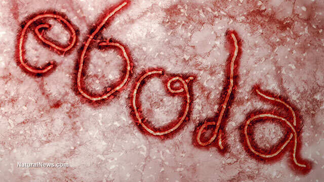 Risk of Ebola's spread from Congo now 'very high,' WHO says