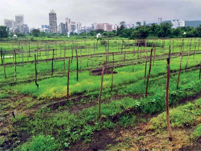 Kolkata: E-auction of nine New Town plots to start in November