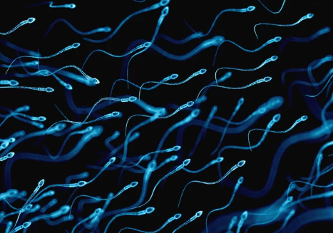 Sperm-like mini robots can deliver drugs in the body