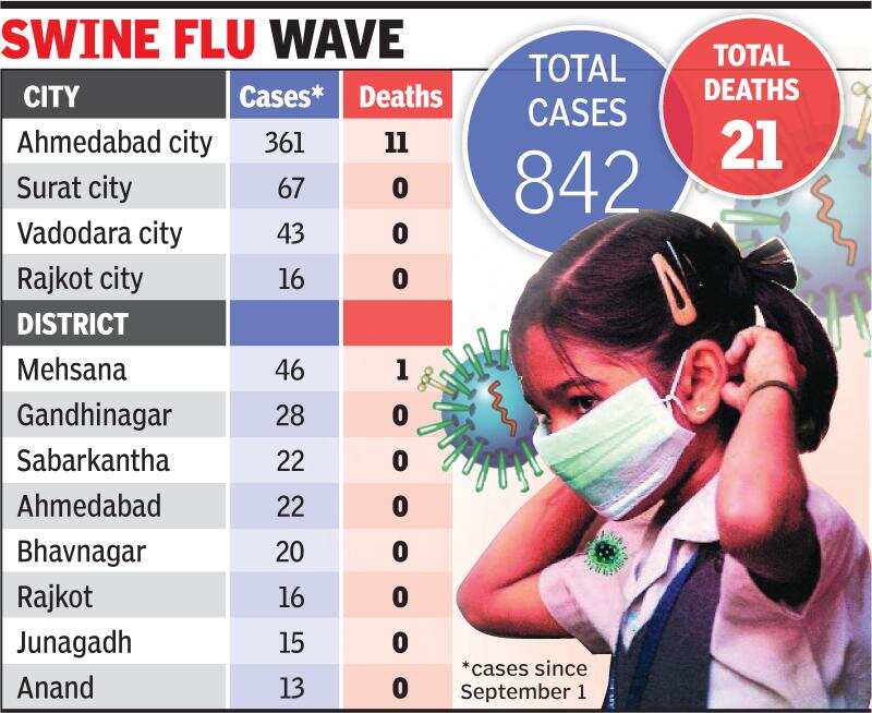 Gujarat HC will diagnose govt’s H1N1 response
