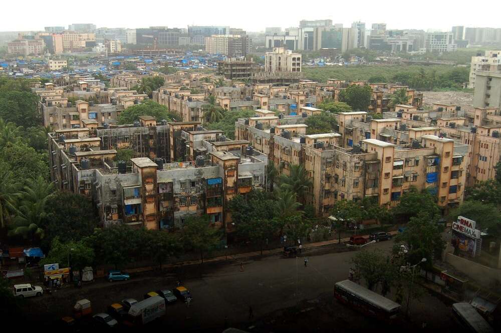 Set up panel to find tech solutions to curb illegal constructions: HC to Maharashtra govt