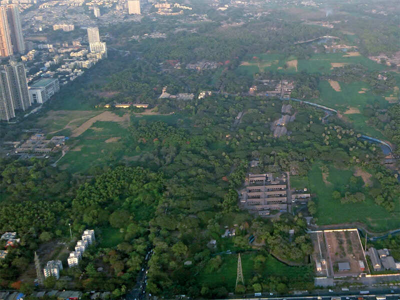 Maharashtra govt gives MMRDA a slice of Aarey land