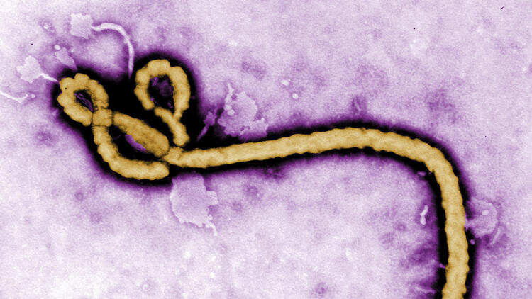 Ebola response tightens in eastern Congo as seven new cases confirmed: health ministry