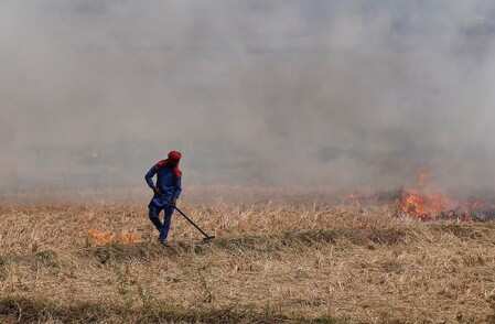 A farmer burns the stubble in a rice field in Zirakpur in Punjab, October 10, 2018. REUTERS/Adnan Abidi