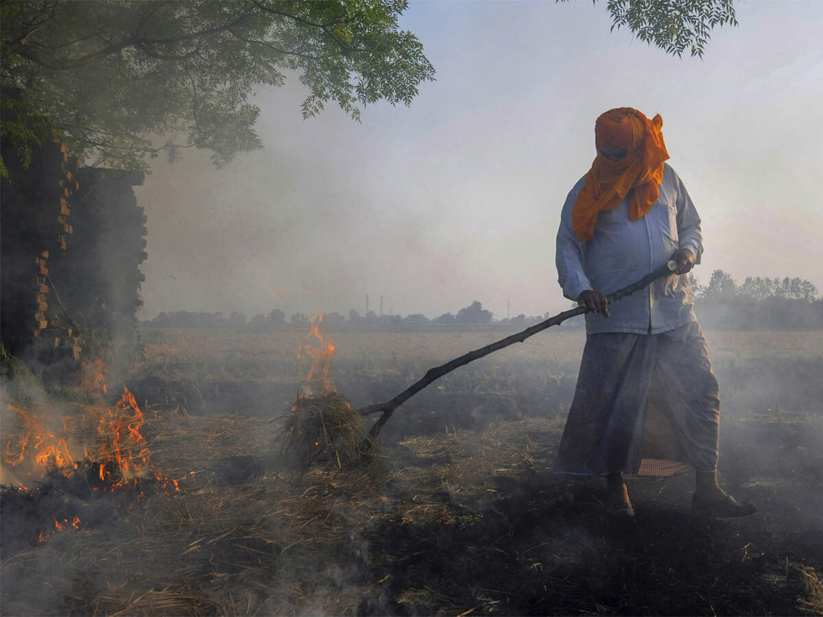 India aims to cut stubble burning in key states by 70 per cent, but experts sceptical