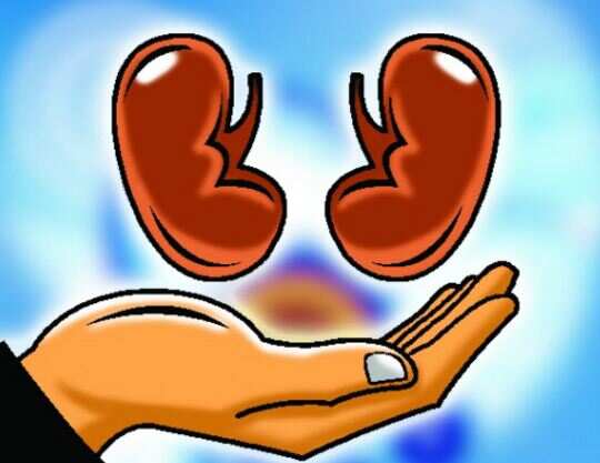 ZTCC oversees distribution of organs donated by cadaveric (deceased) donors at 30 hospitals registered for transplants in Mumbai.