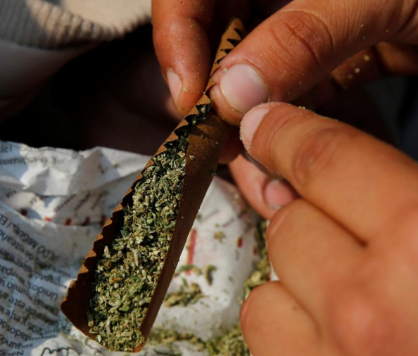 Mexico Supreme Court says ban on recreational marijuana unconstitutional