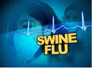 There are at least 5,000 admissions for fever across hospitals in TN every day including about 60 cases of H1N1 and 40 cases of dengue.