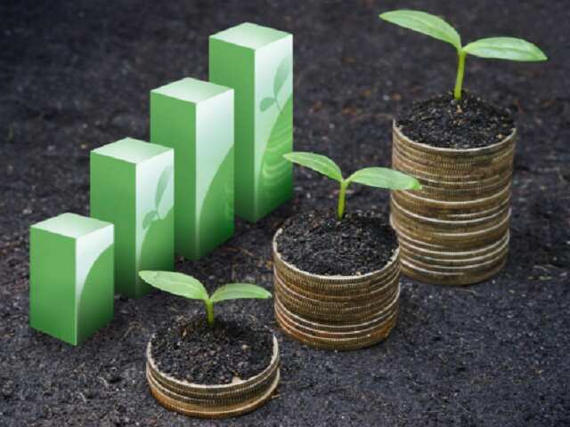 JK Cement's net profit at Rs 65 crore in Q2 FY19