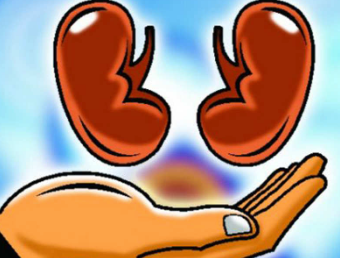 NephroPlus buys India operations of DaVita; in talks to raise Rs 150 cr