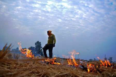 Pollution: Thermal plants in Punjab, Haryana to meet 5pc of fuel demand from paddy stubble
