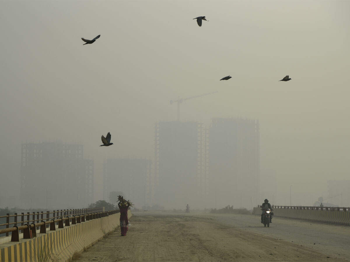 Delhi air quality remains 'poor,' might dip in coming days