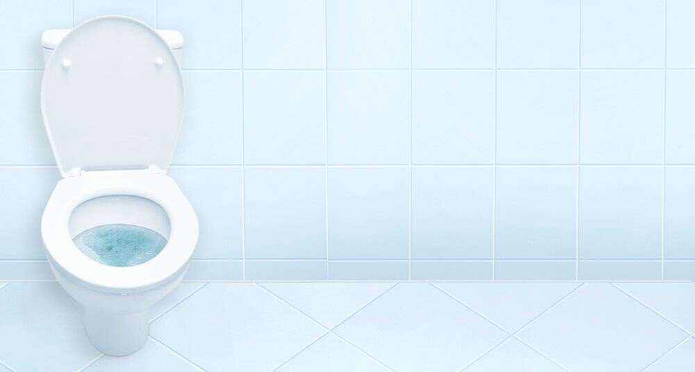 RB participates in the 18th World Toilet Summit
