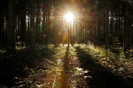 Scientists weigh up stratospheric sunlight barrier to curb global warming
