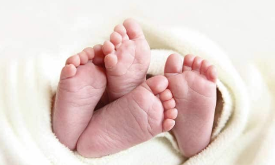 Could anyone have stopped gene-edited babies experiment?
