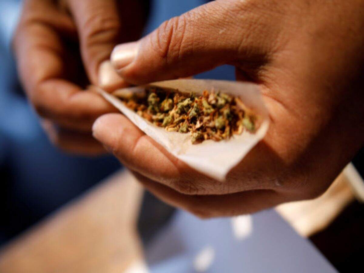New Zealand makes medical marijuana widely available