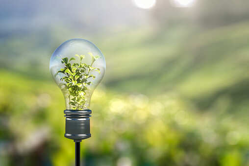 Govt and industry bullish on renewable prospects, but devil lies in resolving costs