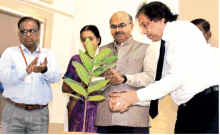 Kolhapur: Event highlights importance of medicinal plants