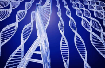 Almost all cells in the body have the same set of DNA and can in principle become any kind of cell at all. What distinguishes the cells is the way in which the genes in our DNA are used.